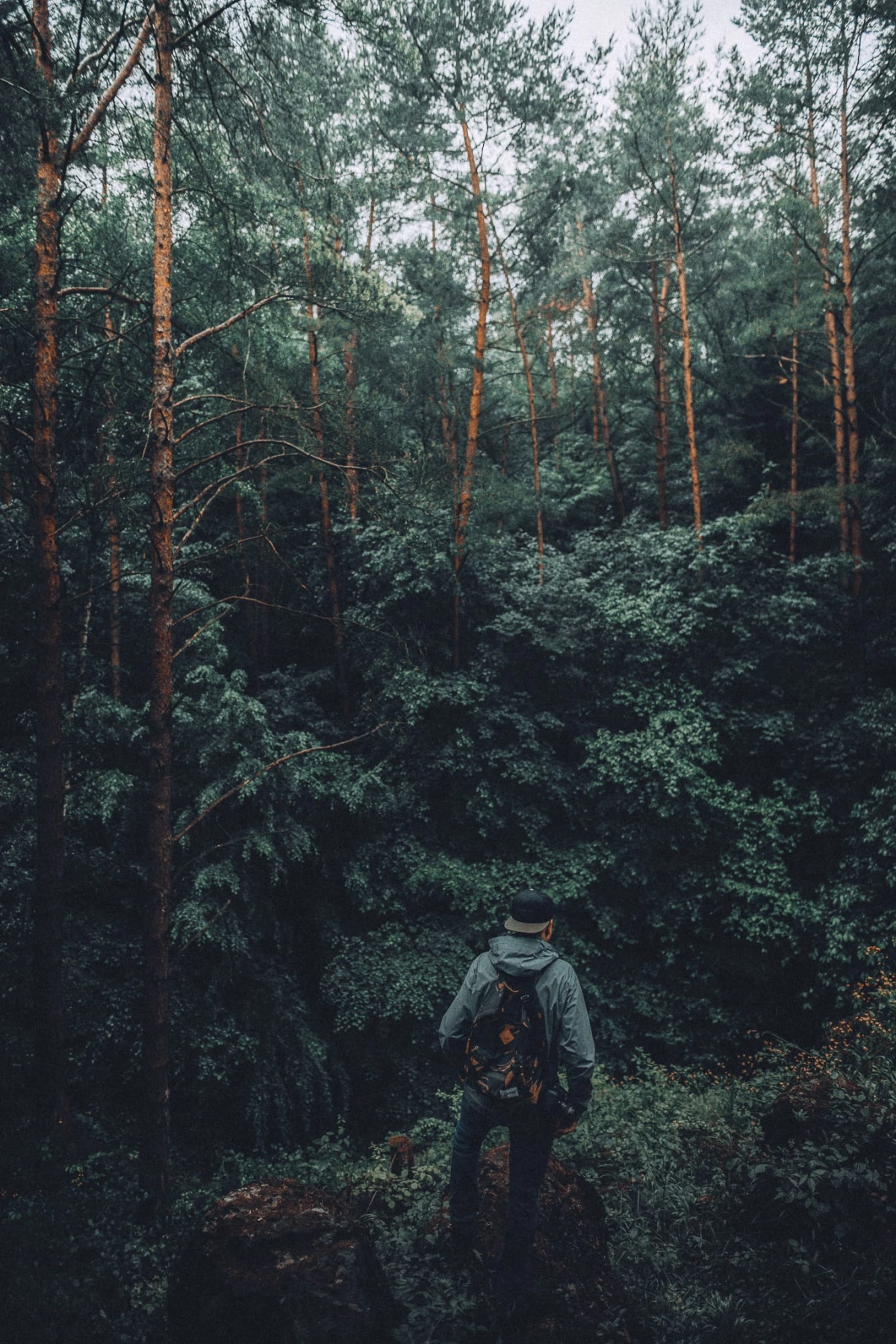Gießen Bergwerkswald