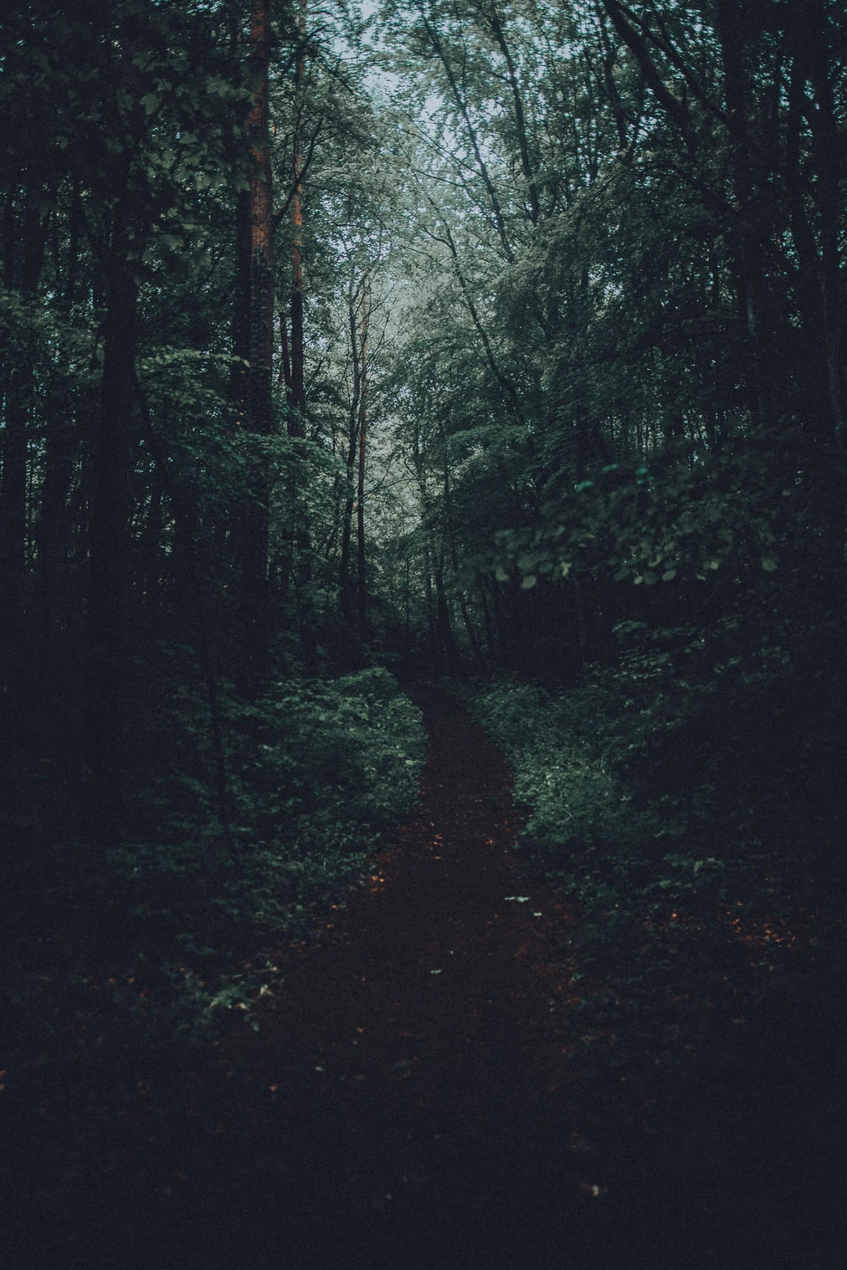 Gießen Bergwerkswald