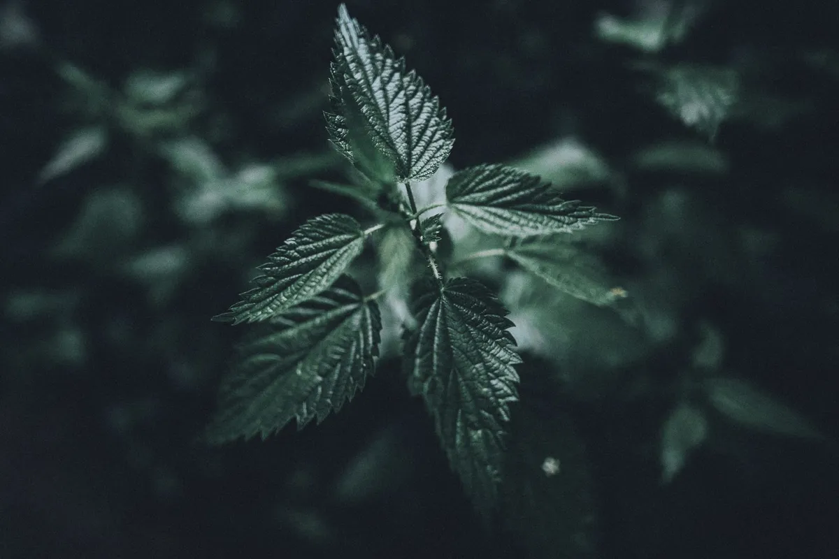 A Rainy day