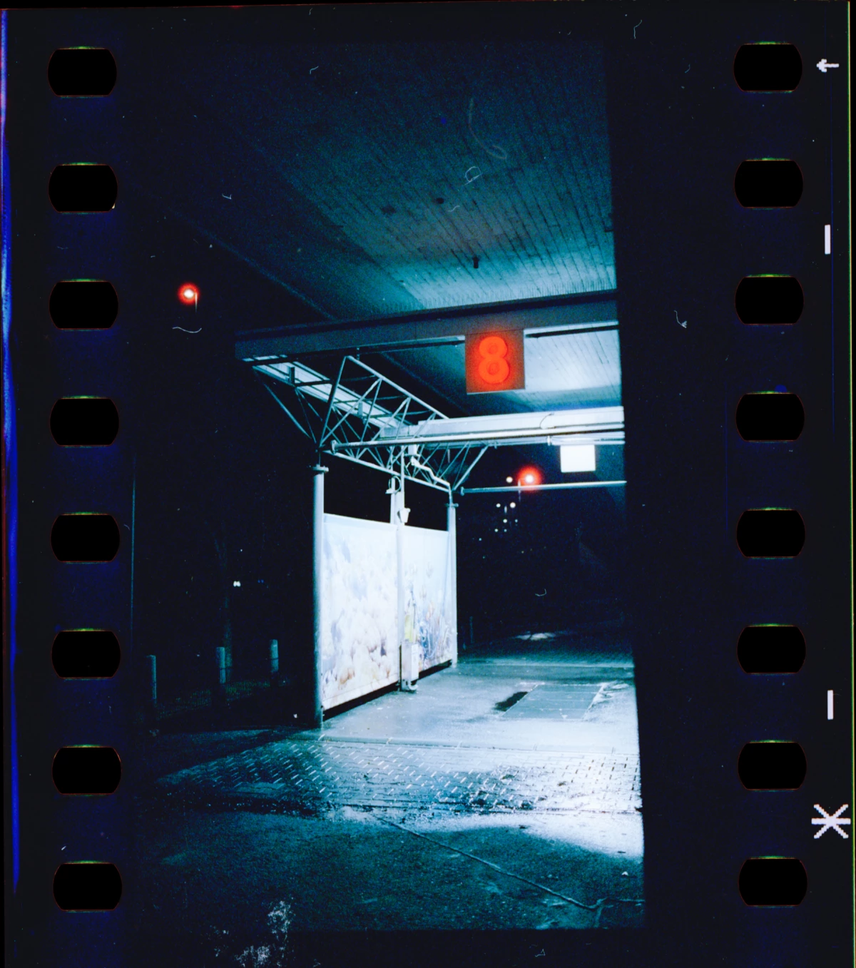 Cinestill 800t