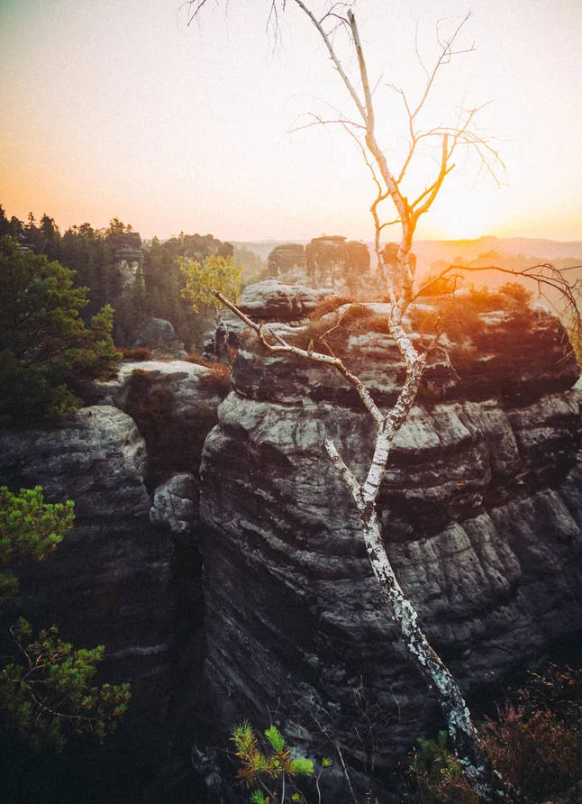 Elbe sandstone mountains in saxon switzerland