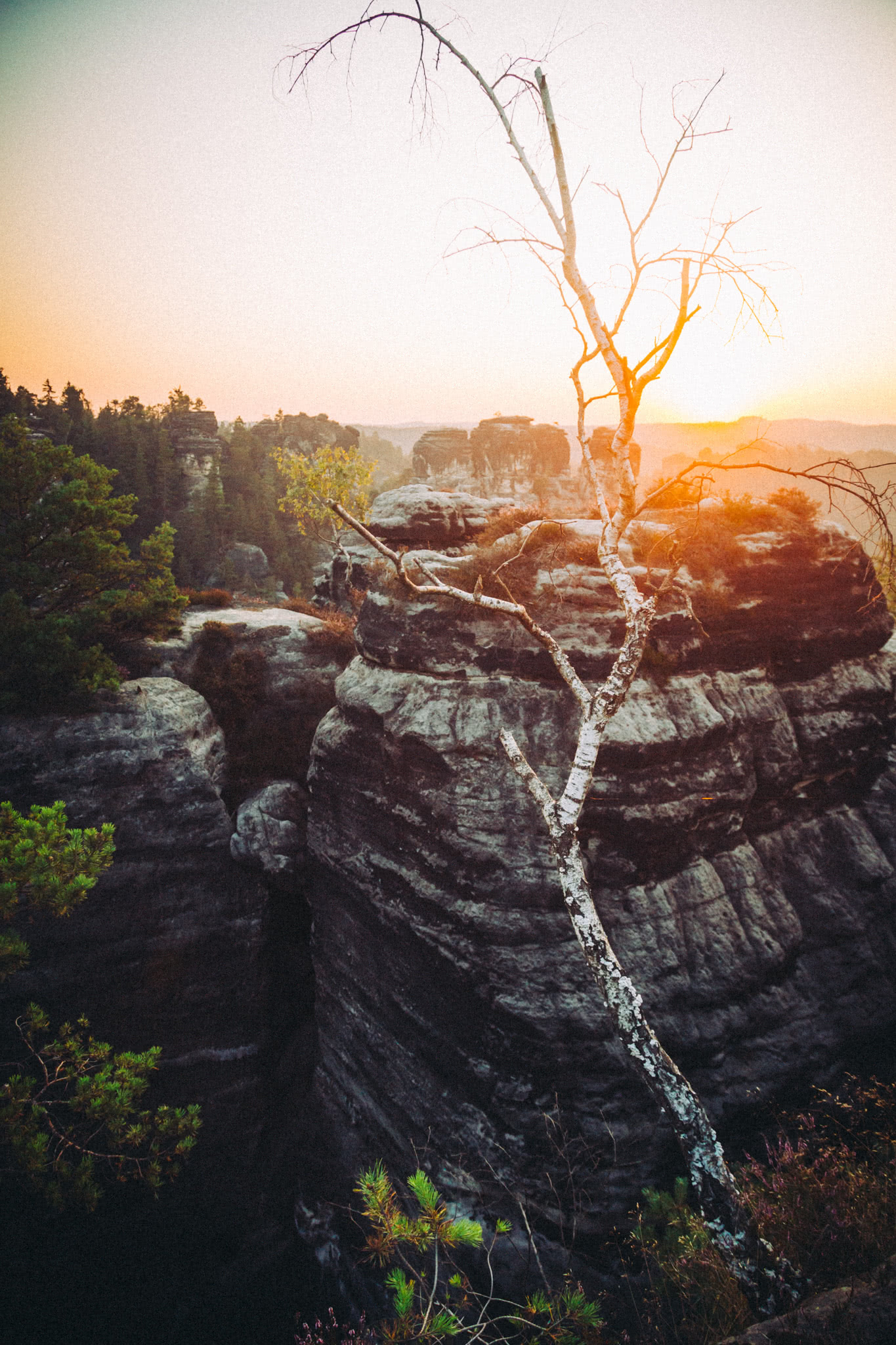 Elbe sandstone mountains in saxon switzerland