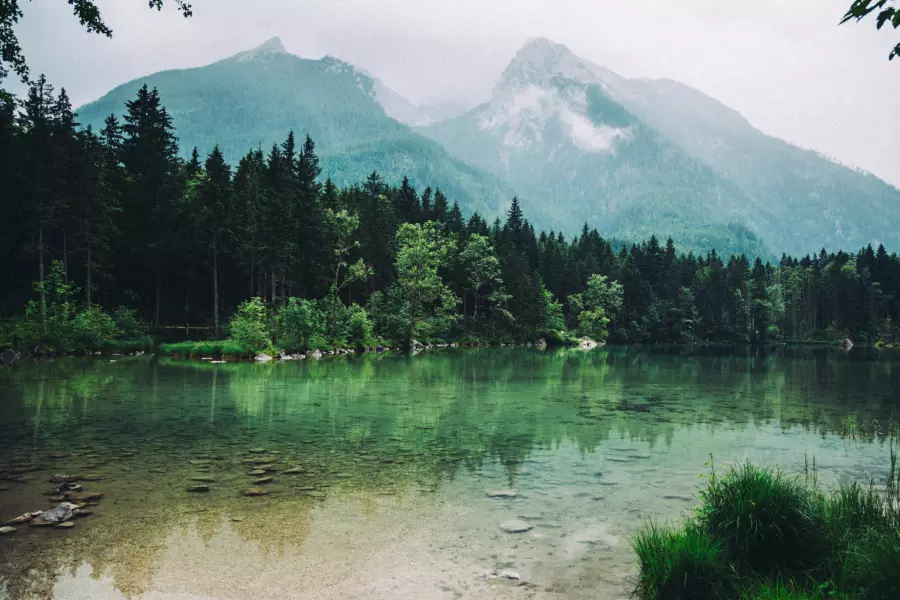 Nebel Hintersee in Berchtesgaden