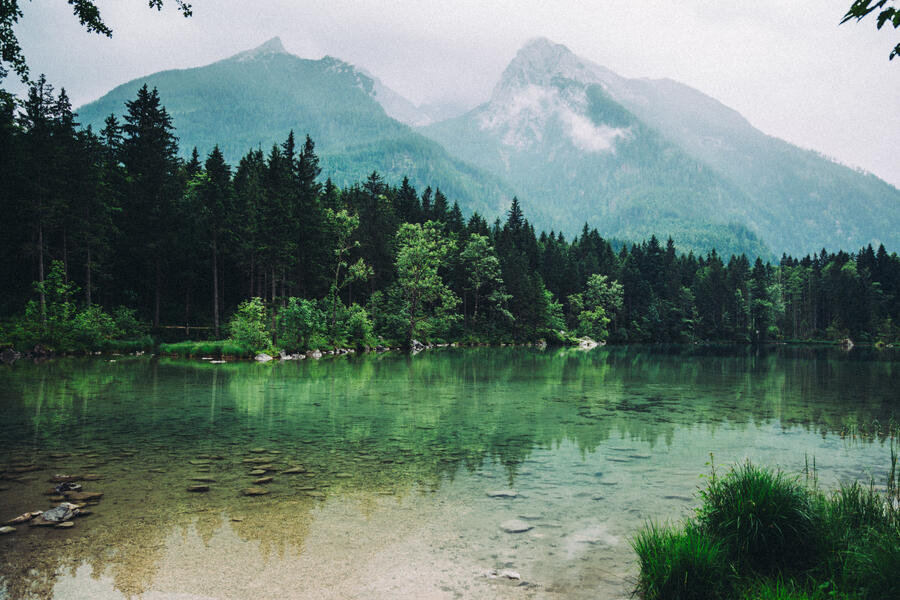 Nebel Hintersee In Berchtesgaden