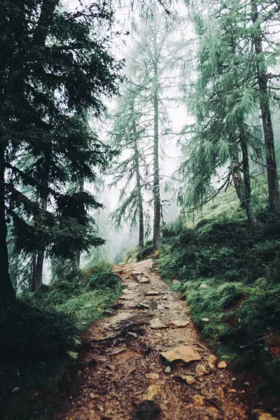 Ein Wanderweg zum Spiegelsee in Österreich